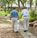 Research Shows Parkinson's Helped with Chiropractic Care