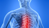Tone, Tensegrity and Chiropractic